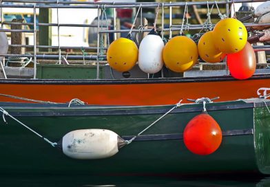 Province Lifts Ban on Seafood Buyer and Processor Licences.