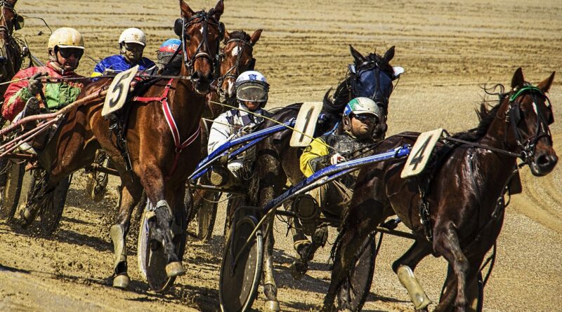 Province Investing in Northside Downs, a Community Hub for Harness Racing.