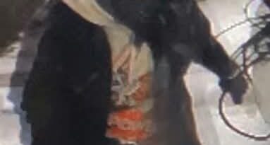 RCMP Investigate Theft of Two Vehicles in Pictou County.