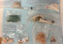 New Glasgow Police Seize Drugs and Remove Children During Well Being Check.