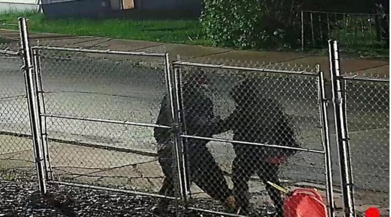 Two People Break Into Gated Compound in New Glasgow.