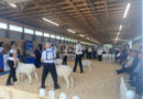 Pictou County Exhibition Site to Receive Funds for Improvements.