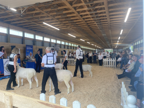 Pictou County Exhibition Site to Receive Funds for Improvements.