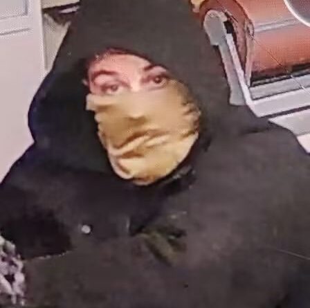 Police Investigate Armed Robbery at Convenience Store.