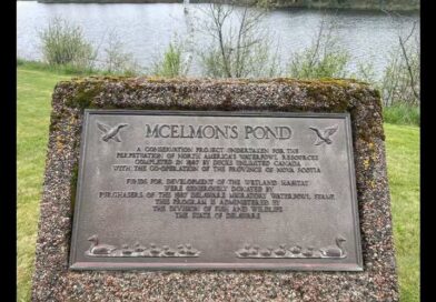 RCMP Investigate Theft of Historical Plaques From Monuments.