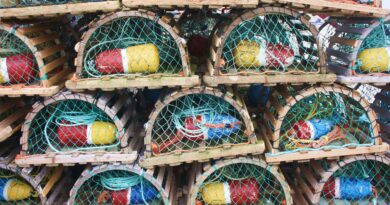 Two Businesses Charged Following Lobster Buying Investigation.