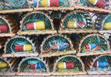Two Businesses Charged Following Lobster Buying Investigation.