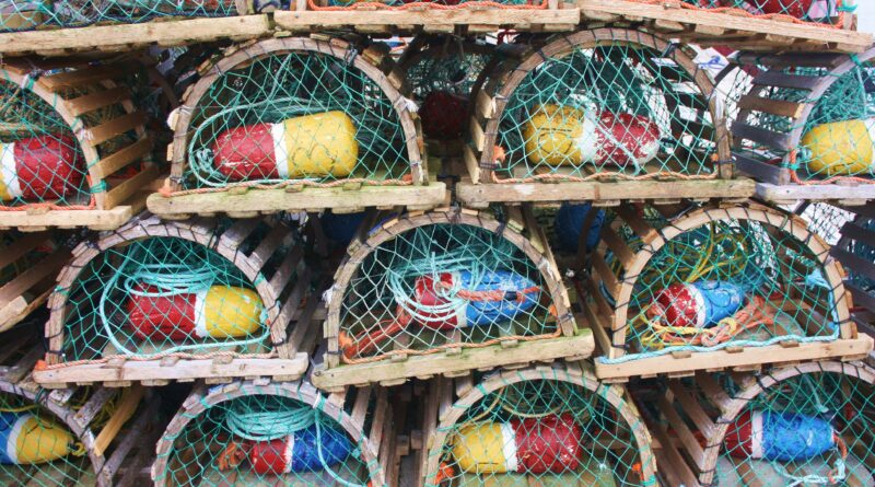 Two Businesses Charged Following Lobster Buying Investigation.